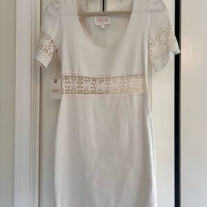 Stone Cold Fox Cream Lace Mini Dress